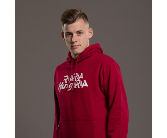 Hoodie basic v2 (unisex)