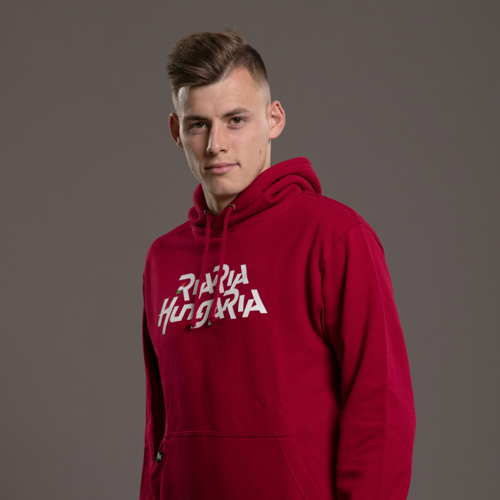 Hoodie basic v2 (unisex)